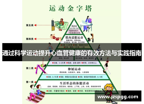 通过科学运动提升心血管健康的有效方法与实践指南