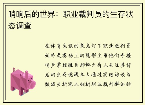 哨响后的世界：职业裁判员的生存状态调查