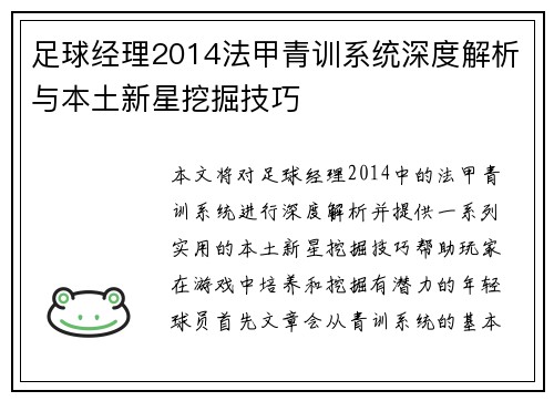 足球经理2014法甲青训系统深度解析与本土新星挖掘技巧